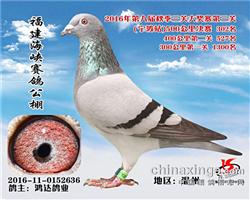 福建海峡302位