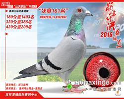 友祥津福公棚161位