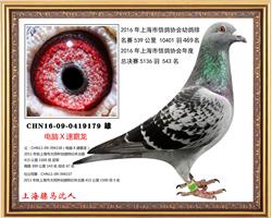 骠马9179