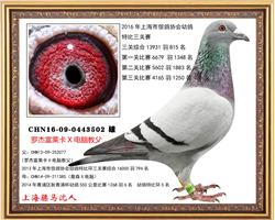 骠马3502