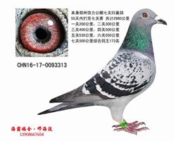 信力公棚三关173名（己售）