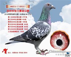 信力公棚七关130名（己售）