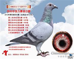 信力公棚三关赛7名