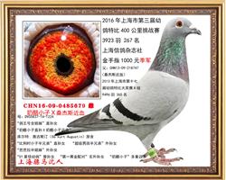 骠马5679