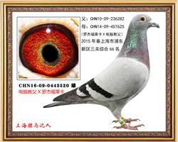 骠马3520