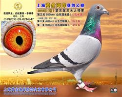 2016黄金海岸决赛224名