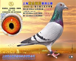 2016黄金海岸决赛339名（已售）