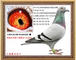 骠马3465