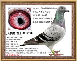 骠马3507