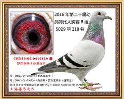 骠马9130
