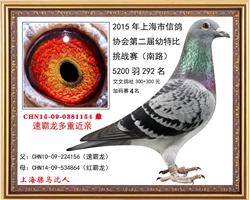 骠马1154
