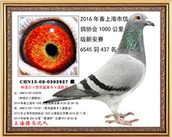 骠马3927