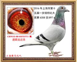骠马2775