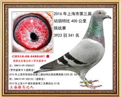 骠马6487