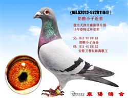 奶酪小子近亲曾孙