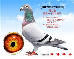 奶酪直孙098的直子顶尖雄106