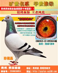 “艺翔将军694”