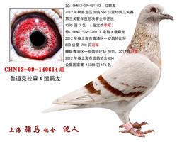 骠马0614