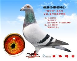 夏拉肯292号独行侠”之直孙女