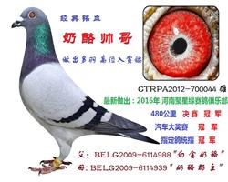 奶咯帅哥