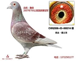 700公里国家赛冠军