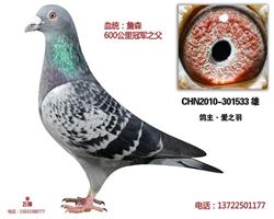冠军之父