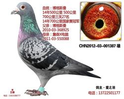 国家赛冠军