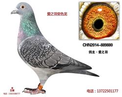 变色龙