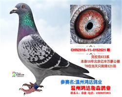 北京亿丰万豪公棚70位已售