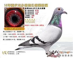 骠马3057