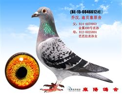 乔汉迪贝塞原舍