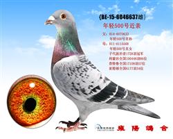 乔汉迪贝塞原舍