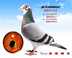 乔汉迪贝塞原舍