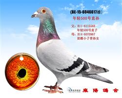 乔汉迪贝塞原舍