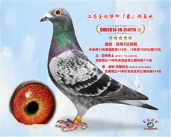 甘纳斯-1500公里30名