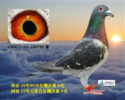 9名同窝