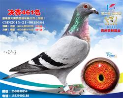 蓝天公棚461名（已售出）