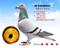 乔汉迪贝塞原舍