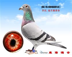 乔汉迪贝塞原舍