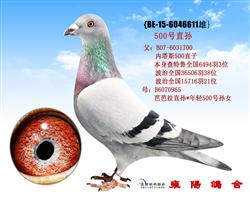 雍阳圣母同窝全兄弟