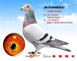 乔汉迪贝塞原舍