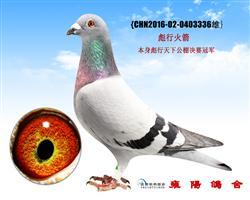 彪行天下公棚决赛冠军