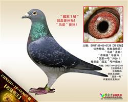 【超級帝王】“國家1號”回血曾孙！