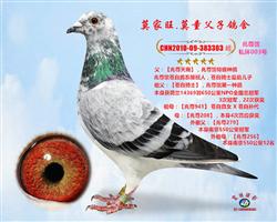 花仙子【兆尊馆苍白骑士标杆直子作出】