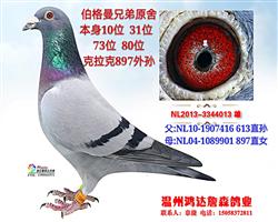 伯格曼兄弟原舍