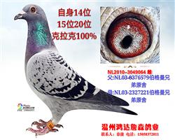 伯格曼兄弟原舍