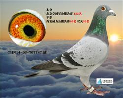 卓越将军