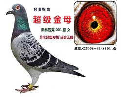 超级101
