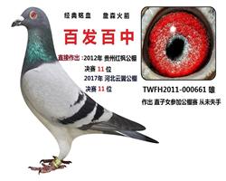 百发百中