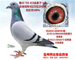 伯格曼兄弟原舍
